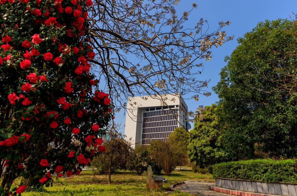 喜報湖南理工學院圖書館獲評全省最美圖書館